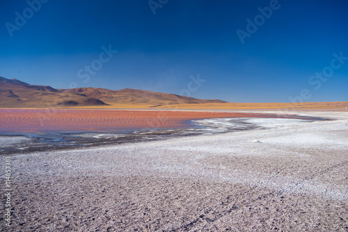 Multicolored Salt Lake with flamingos on the Bolivian Andes
