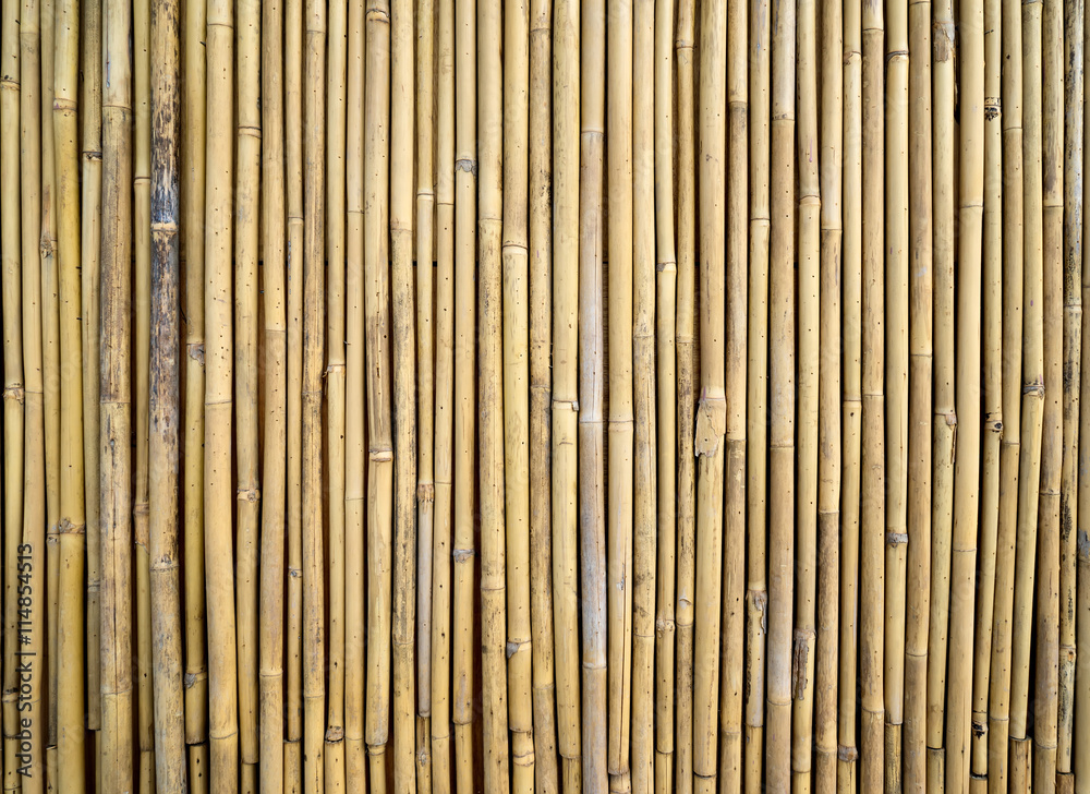 bamboo fence bamboo fence