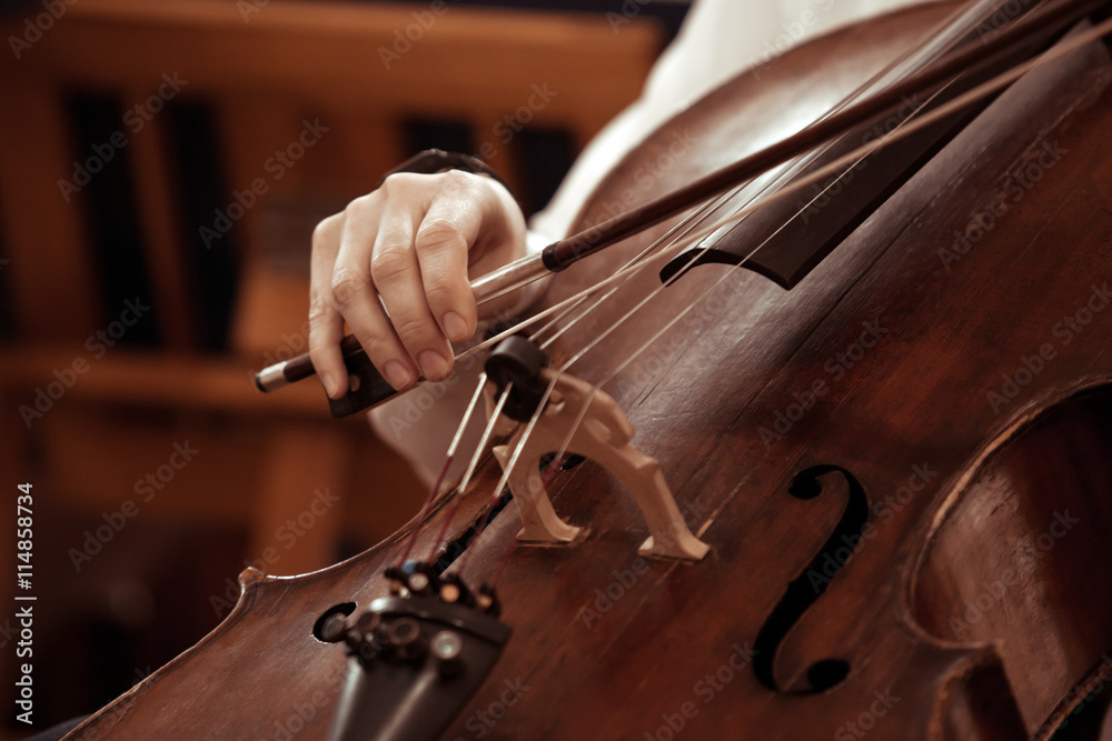 Fototapeta premium Hand girl playing cello closeup