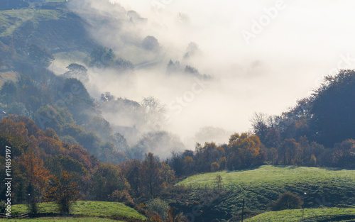 Fotografie Countryside Fog