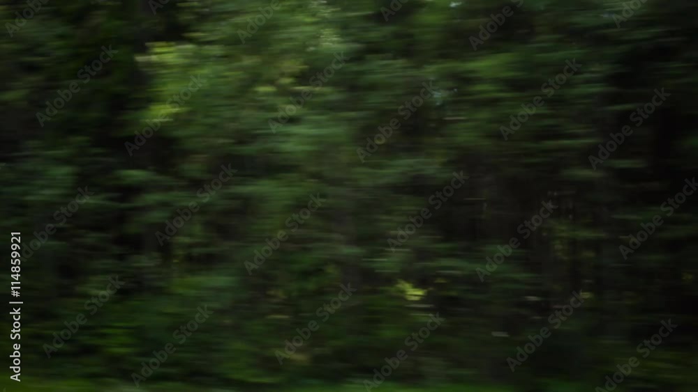 car side view summer forest fast mtion blur background car side view summer forest fast mtion blur background