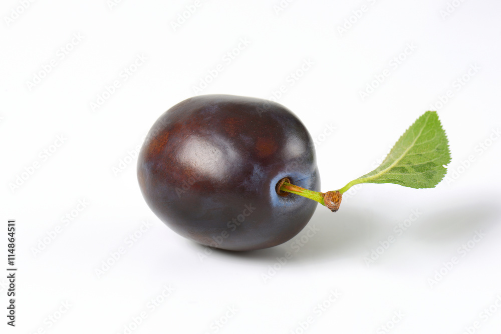 single ripe plum single ripe plum