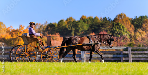 Carriage Rider competing in the James River Driving Association