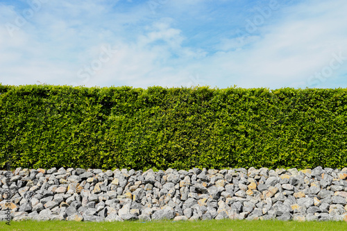beautiful tree fence,green field and stone with blue sky and clo