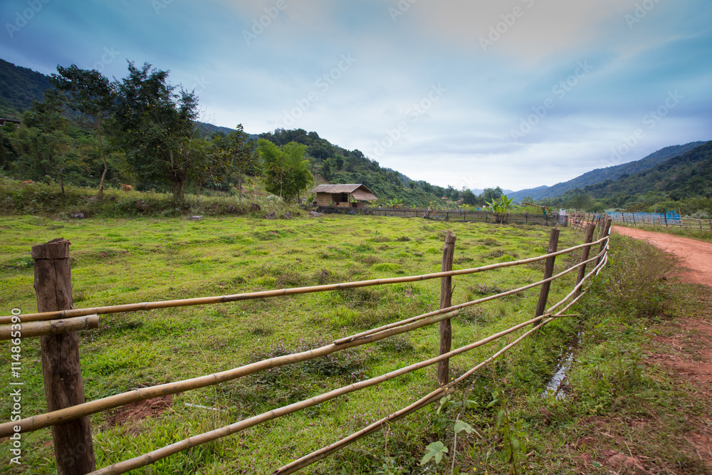  red dirt rough pathway road along bamboo fence lead to farm with mountain view, green environment and sky