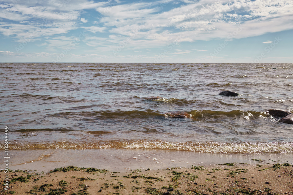 baltic sea, fin gulf coast in summer sunny day baltic sea, fin gulf coast in summer sunny day