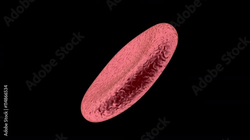 Animation of a spinning hemoglobin cell. Loopable with black background.
 photo