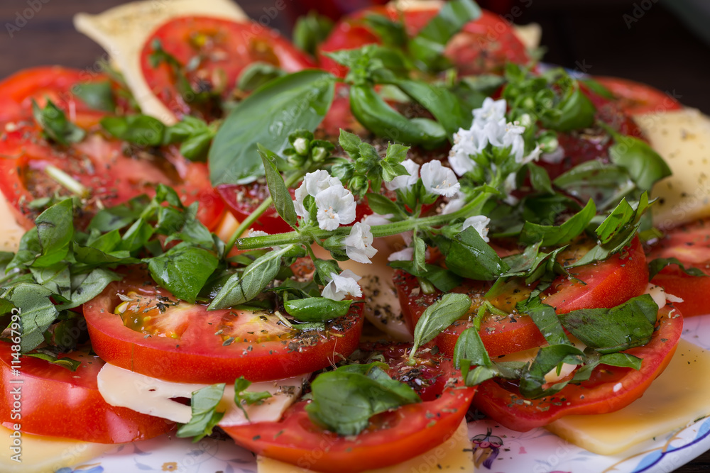 Vegetarian salad with cheese and tomatoes Vegetarian salad with cheese and tomatoes