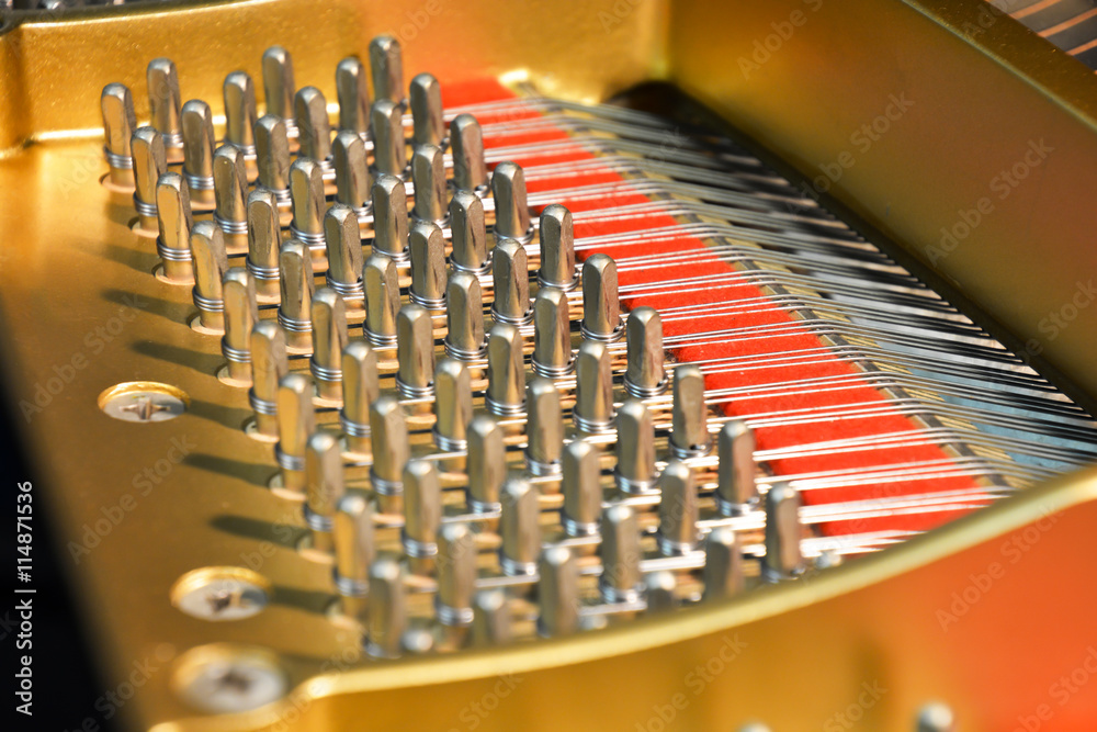 Obraz premium Piano strings