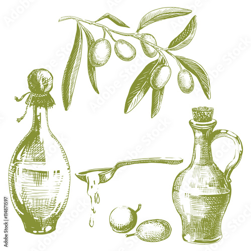 Olive oil set. Hand drawn sketch olive branch and a bottles, spoon with oil. Vector illustration isolated on white.