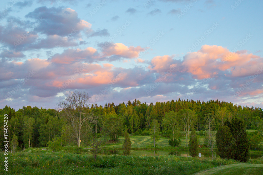 evening sky over the forest in Sweden