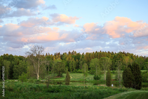 evening sky over the forest in Sweden