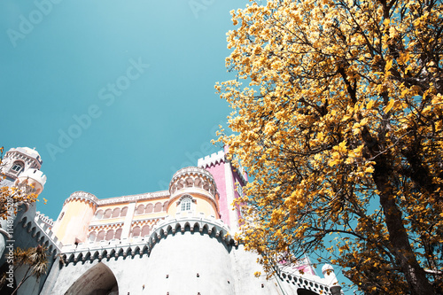 Pena National Palace (Palacio Nacional da Pena) - Romanticist palace in Sao Pedro de Penaferrim. Sintra, Portugal.
 photo