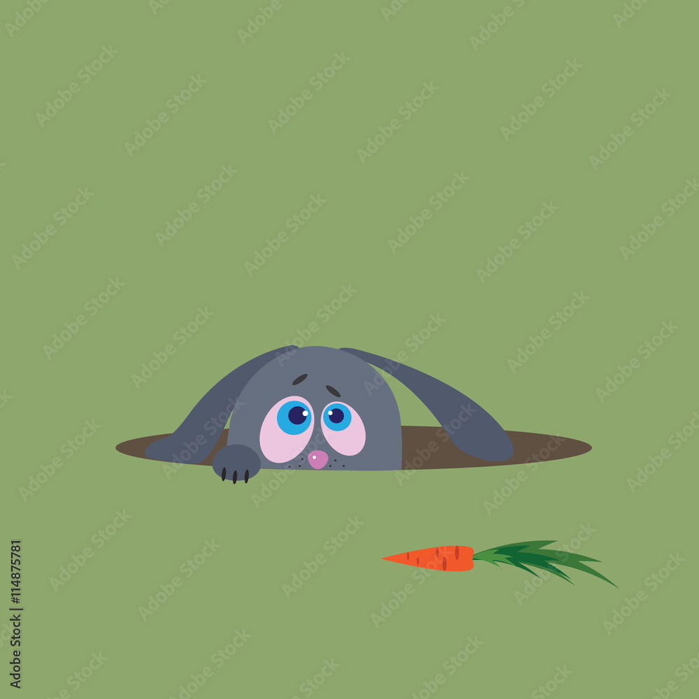 Fototapeta premium hungry rabbit