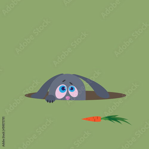 hungry rabbit