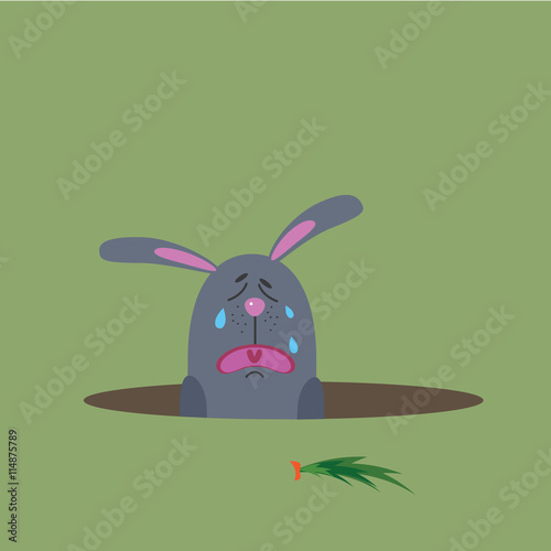 hungry rabbit