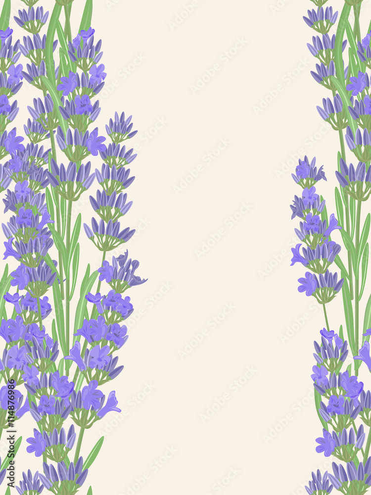 Fototapeta premium Bright vector seamless background with sprigs of lavender.