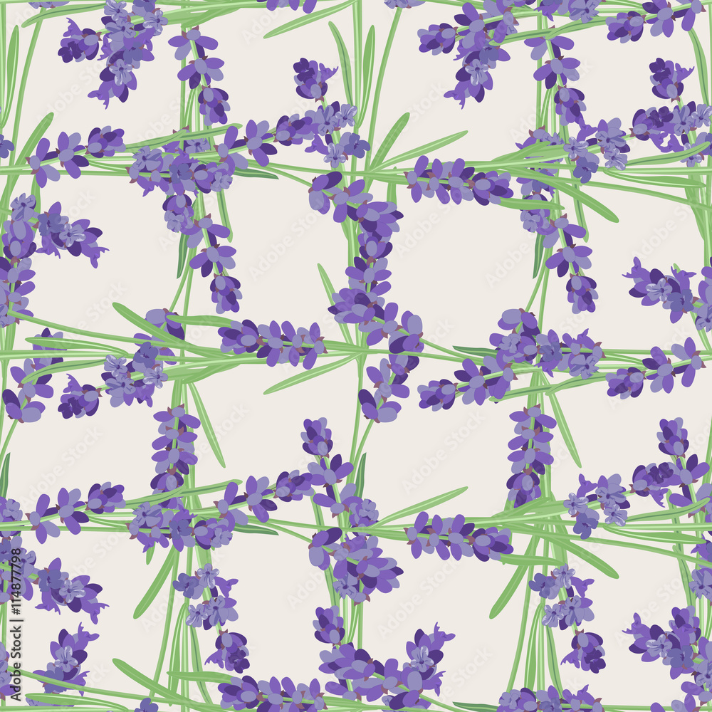 Bright vector seamless background with sprigs of lavender.