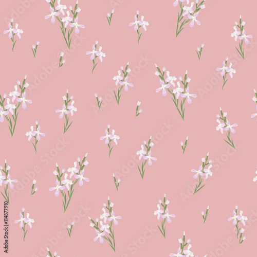 Seamless pattern with flowers Matthiola or evening primrose. 