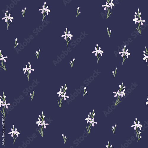 Seamless pattern with flowers Matthiola or evening primrose. 