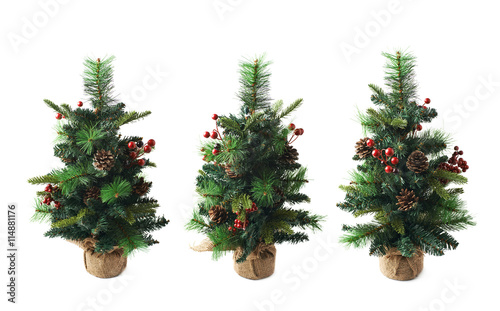 Small artificial Christmas tree isolated