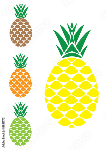 Vector Pineapple
