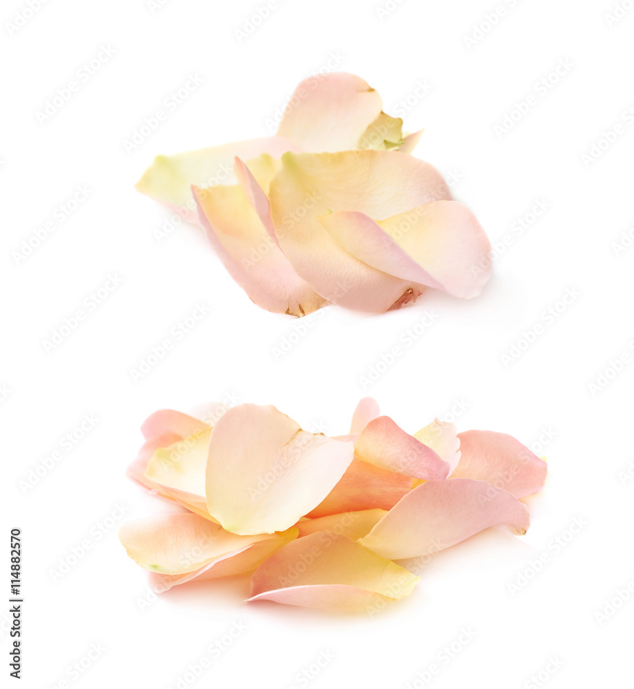 Pile of multiple rose petals Pile of multiple rose petals