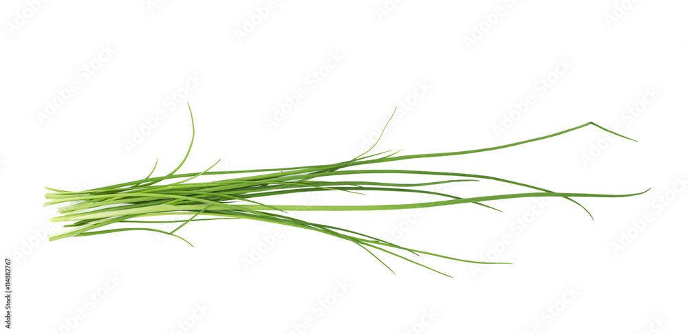 Green onion scallions isolated Green onion scallions isolated