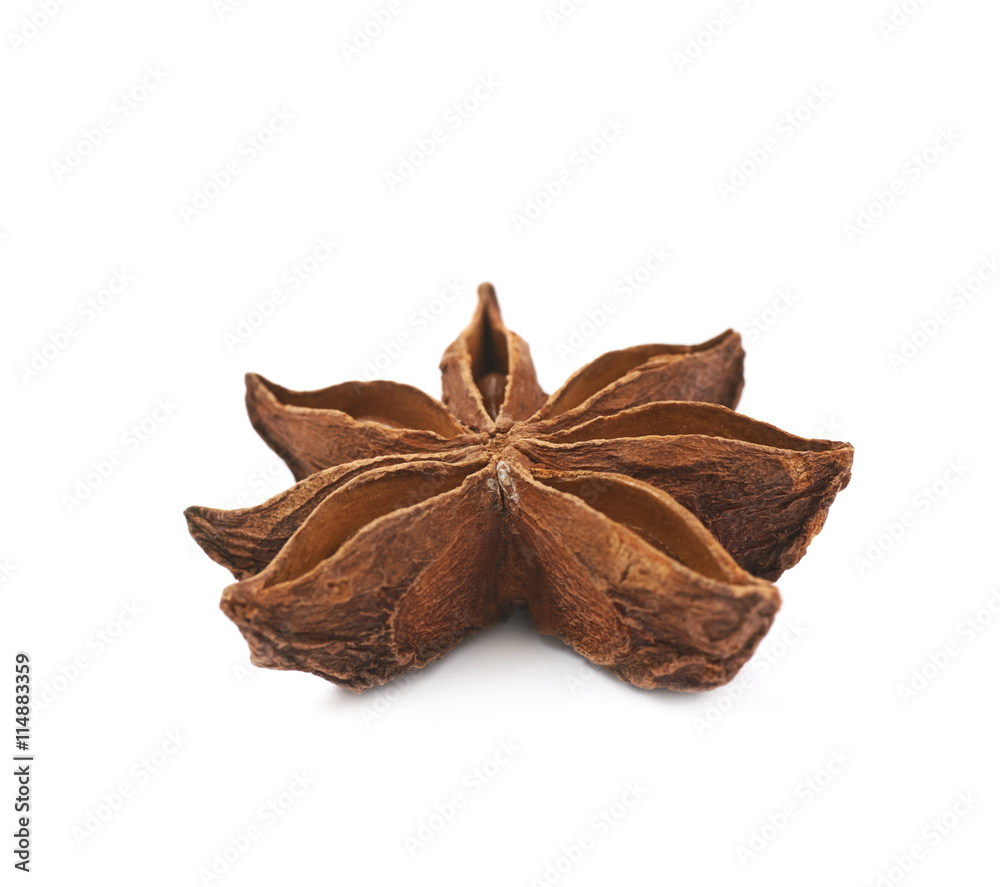 Chinese star anise seed isolated Chinese star anise seed isolated