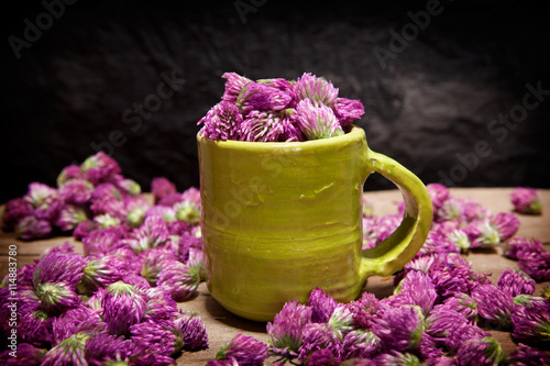 Red clover for tea, Trifolium pratense photo