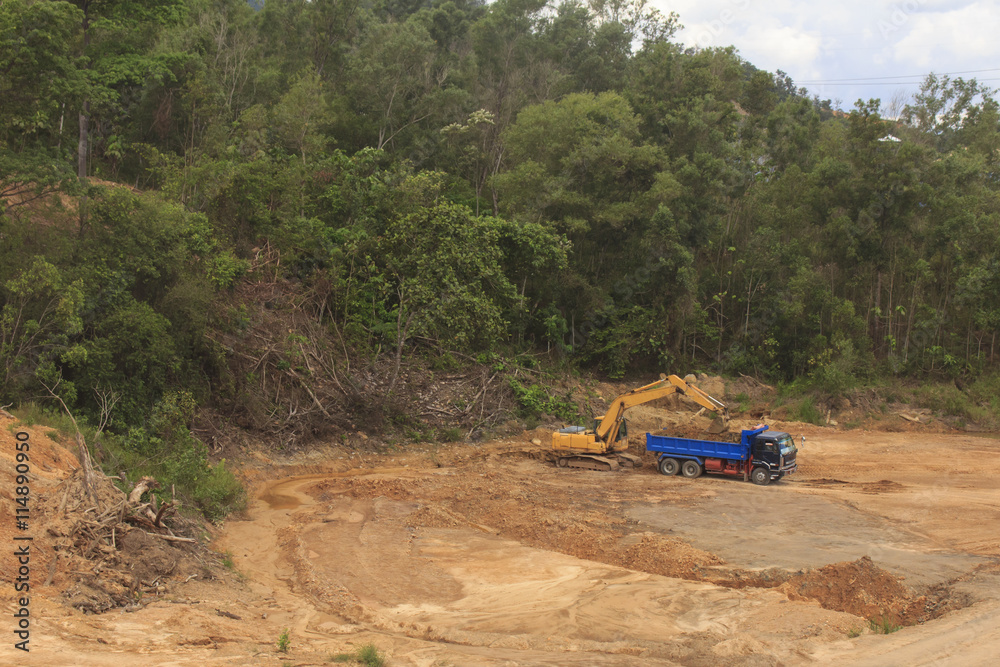 Deforestation environmental destruction of Borneo rainforest. Clearing jungle forest to make way for oil palm plantations. Deforestation environmental destruction of Borneo rainforest. Clearing jungle forest to make way for oil palm plantations.