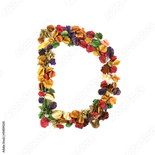 D, Dried flower alphabet isolated on white background