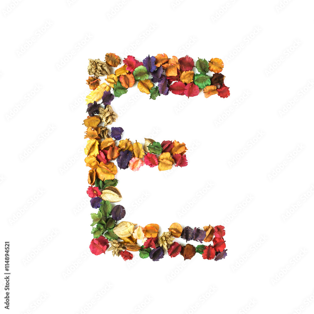E, Dried flower alphabet isolated on white background