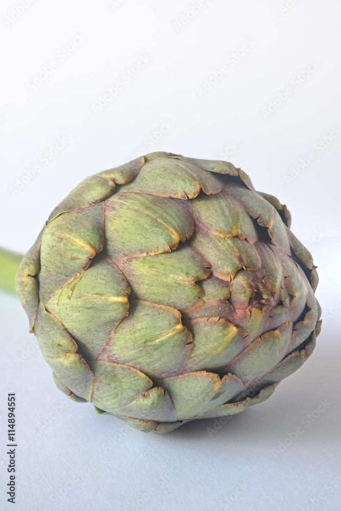 Fototapeta premium Artischocke, Freisteller