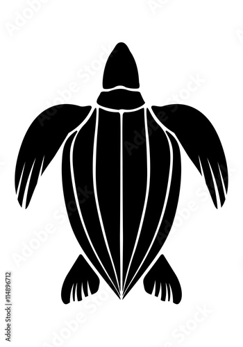 sea turtle, vector