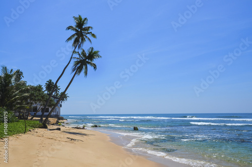 Untouched tropical beach in Sri Lanka © Mariana Ianovska