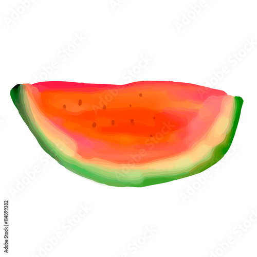 watermelon slice isolated on white background. digital painting.