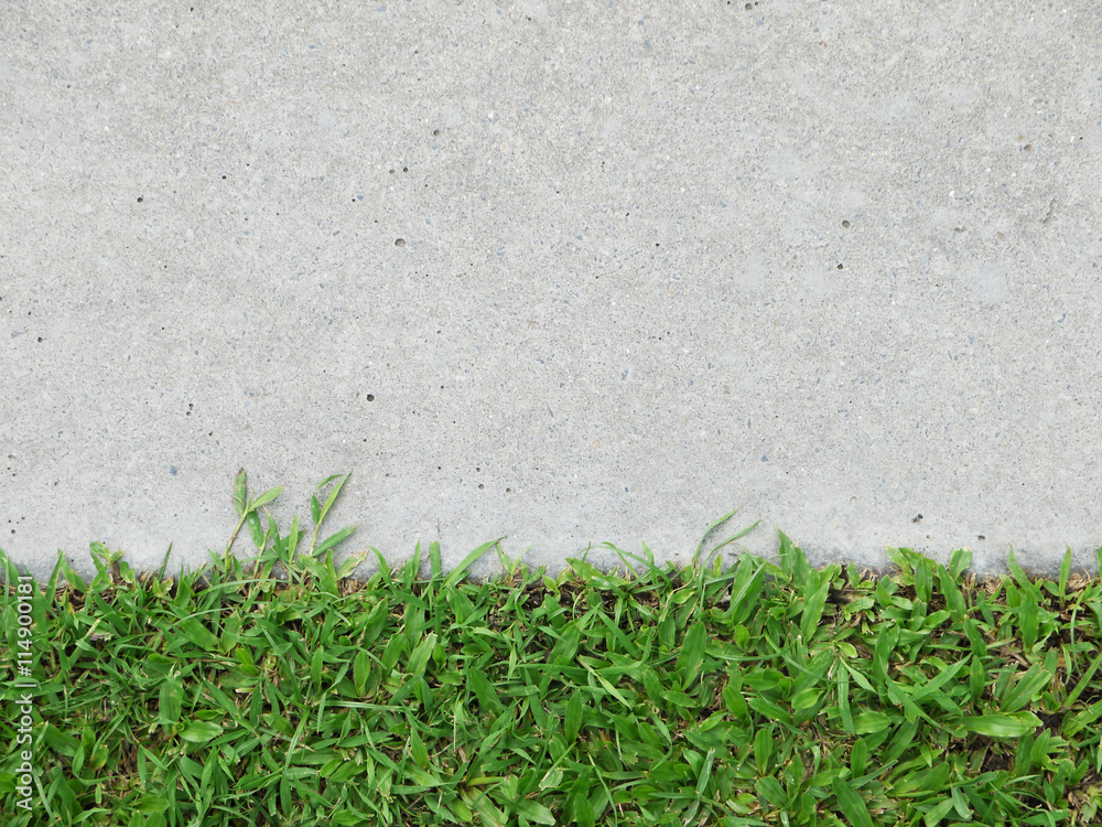 Fototapeta premium Grass with walkway background