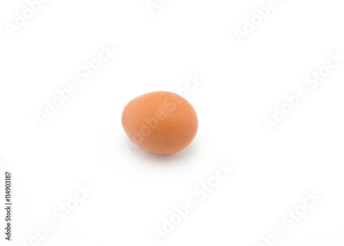 Single brown chicken egg on white