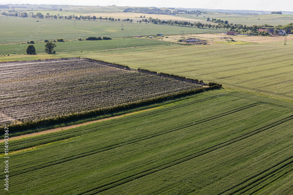 aerial view of the springtime harvest field