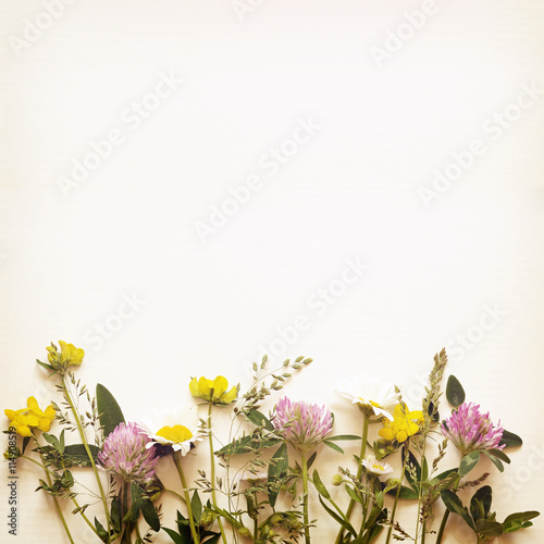 Summer flowers edge