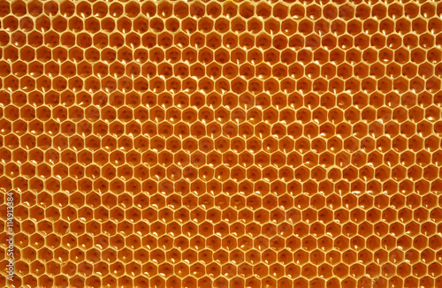 fresh honey in cells