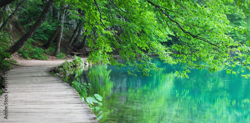 Lake coast in national Croatian nature park Plitvice Lakes with tree branches  bench and wooden walkway 