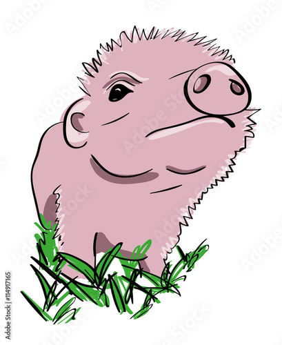 hand drawn curious piglet looking displeased comic style vector illustration
