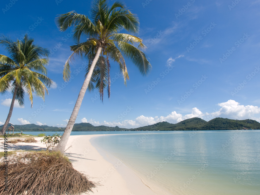 Obraz premium Palm trees at the seaside on Ko Yao Yai island, Thailand, Asia