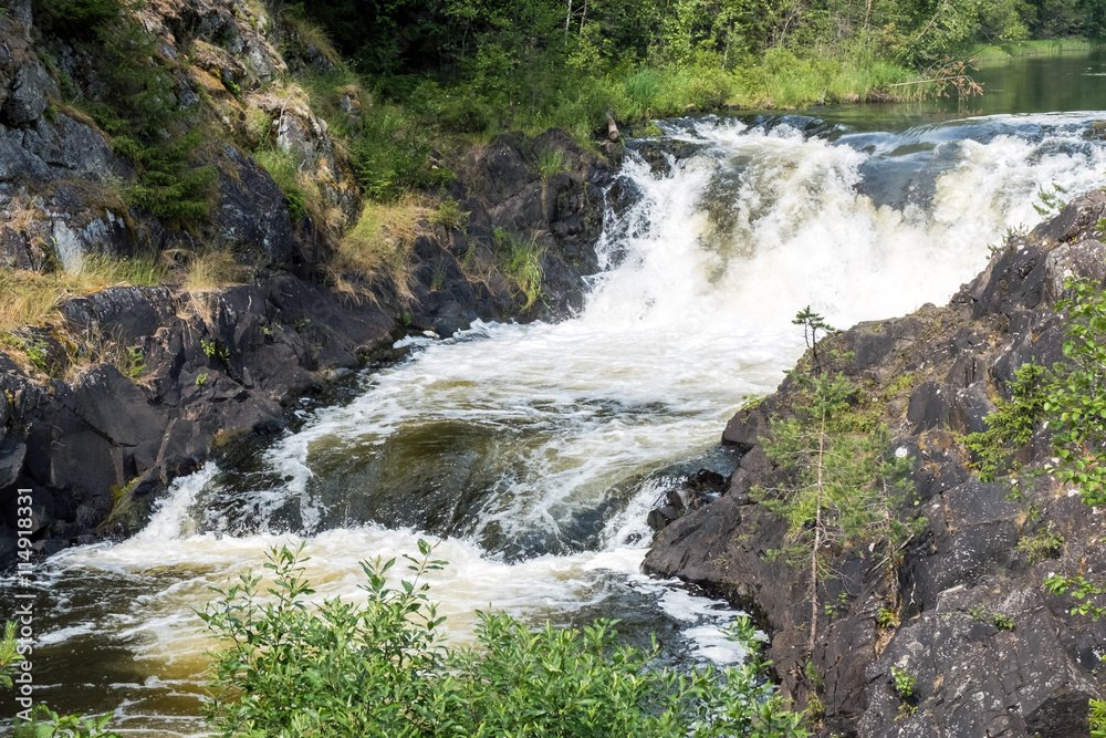 Naklejka premium Wild waterfall North-West of nature, landscape of pine forest on the cliffs and a large powerful stream of the waterfall. Beautiful views of the wild Northern territory.
