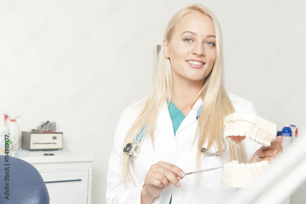 Female dentist, keeps in hand model of teeth. Female dentist, keeps in hand model of teeth.