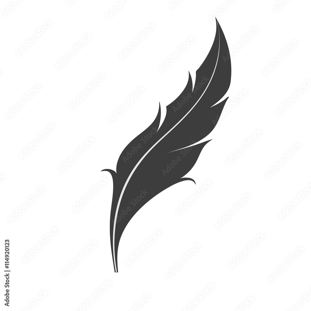 Bird's feather icon. Feather flat logo isolated on white background ...