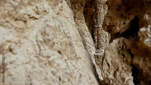Colonnaded footpath under the roadway viaduct, with external columns sloping to take the diagonal thrust from the vault supporting the road in Antoni Gaudi's Park Guell, Barcelona, Spain