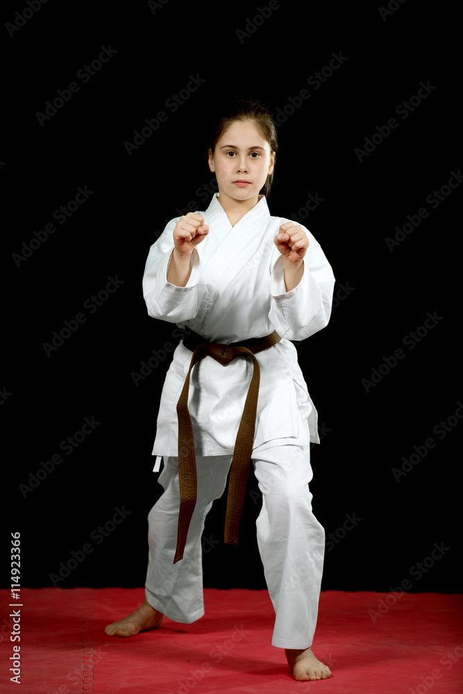 Karate martial Arts